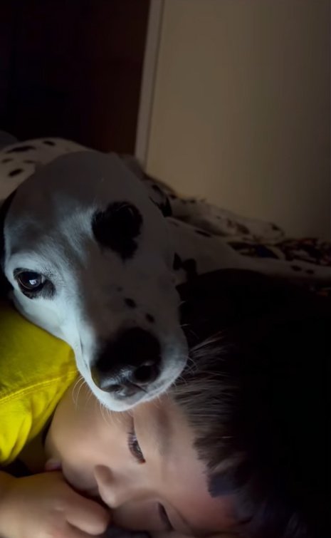 大型犬と一緒に眠りかけの子供