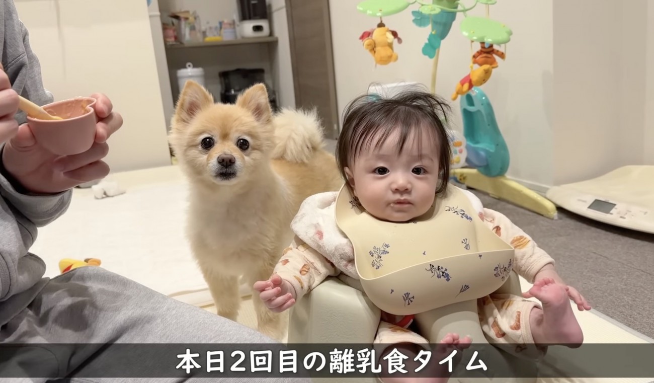 食事も見守ります