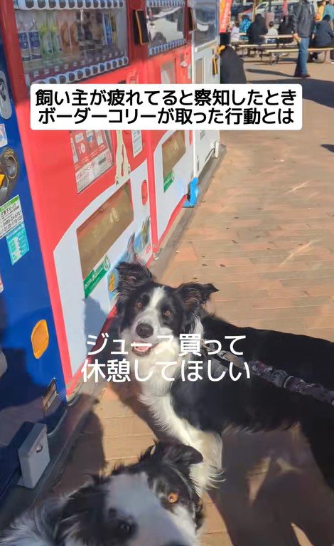 ジッピーくんの気遣い7