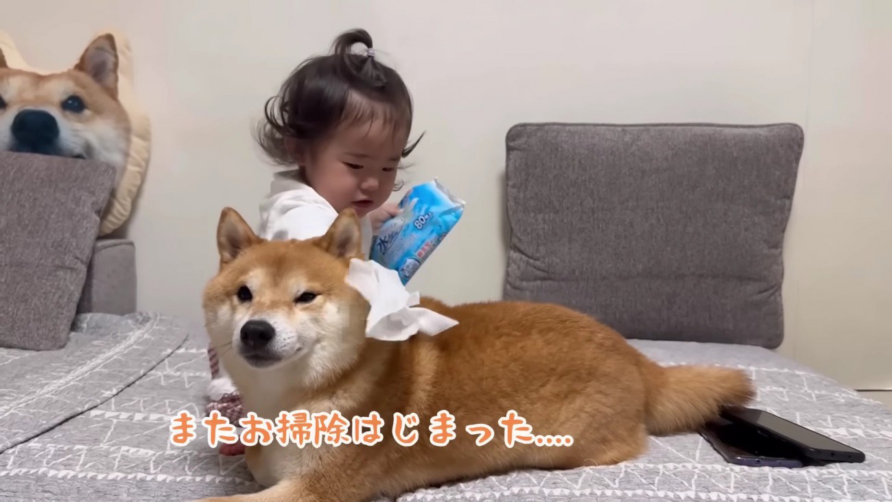 優しいうにくんに感嘆！