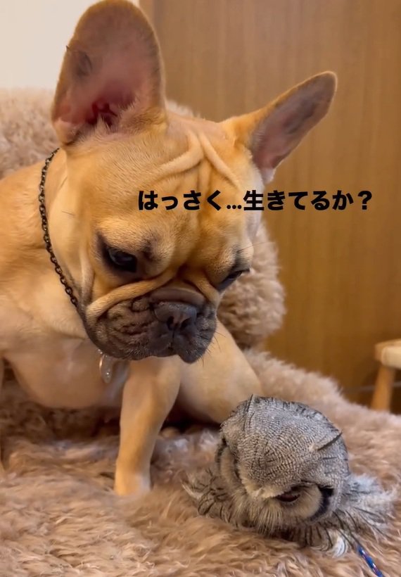 心配性なおとちゃん