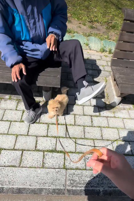 「可愛がってくれてありがとう」
