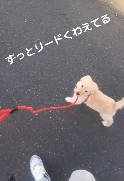 可愛すぎる♡