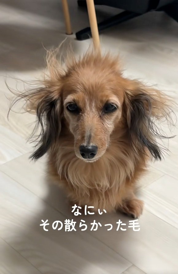 寝ぐせがひどいティナちゃん2