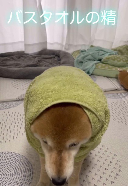 可愛すぎる姿にキュン♡