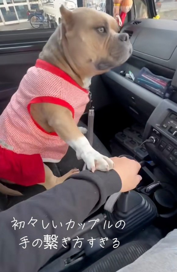 手を重ねるリリーちゃん