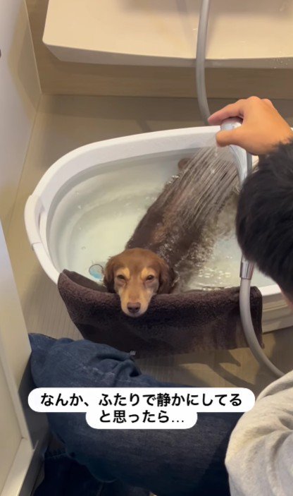 思わずほっこり…♡