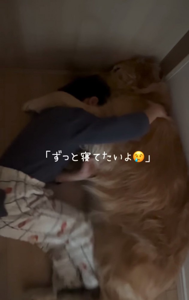 大型犬に抱きつく男の子