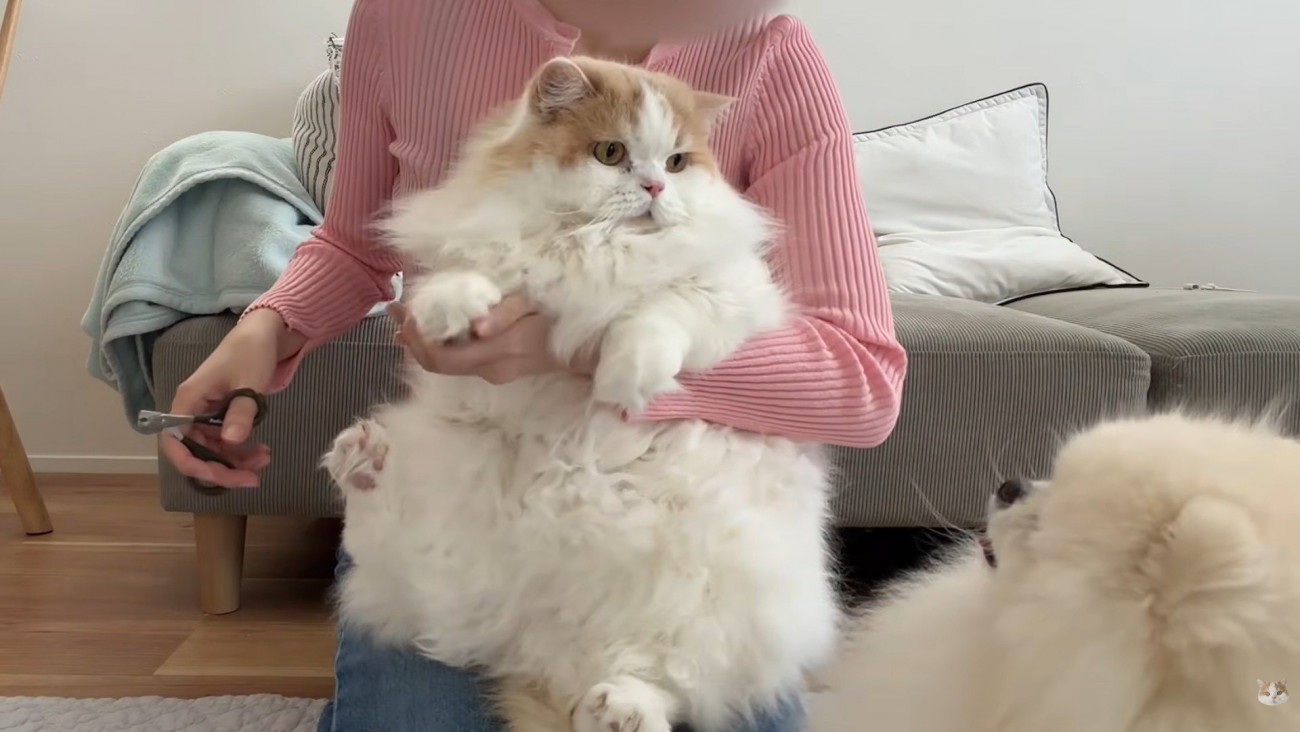じーっと見ていたかと思ったら…