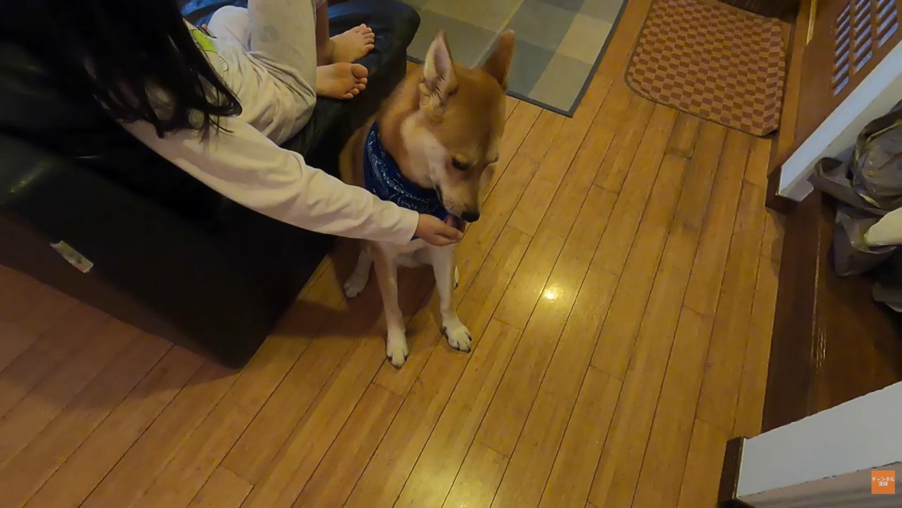 「ありがとう」のペロペロ…♪