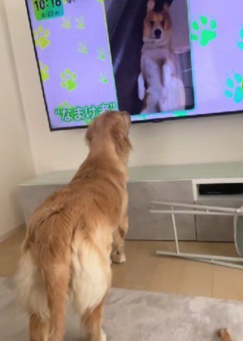 毎朝欠かさないルーティン