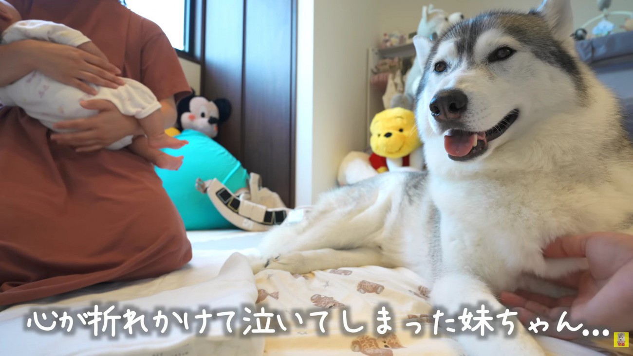 もんちゃんが温かく見守ります