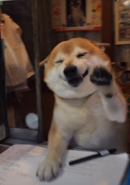 「いらっしゃい！」