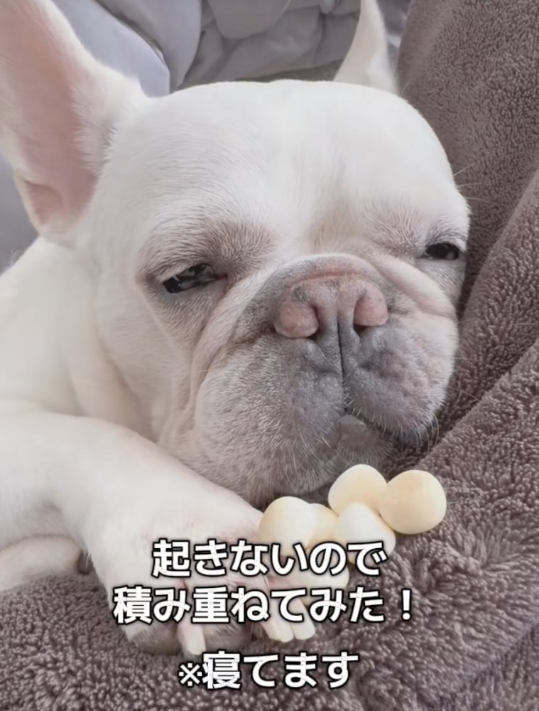 どっさり。