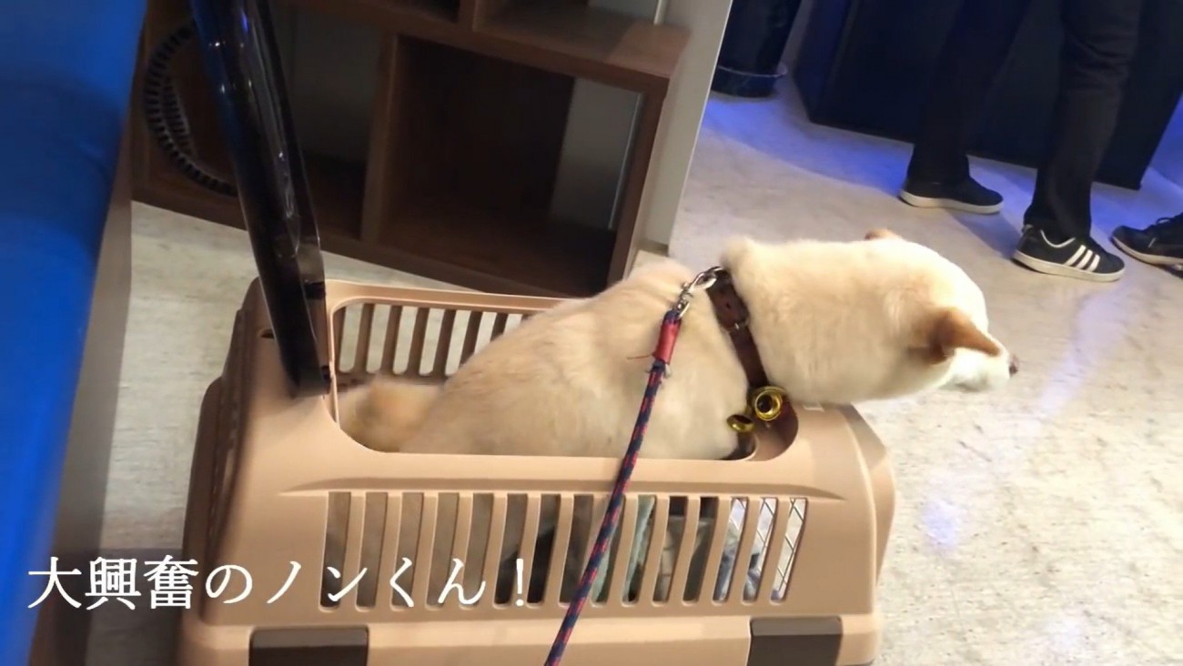 前のめりになって大喜び♪