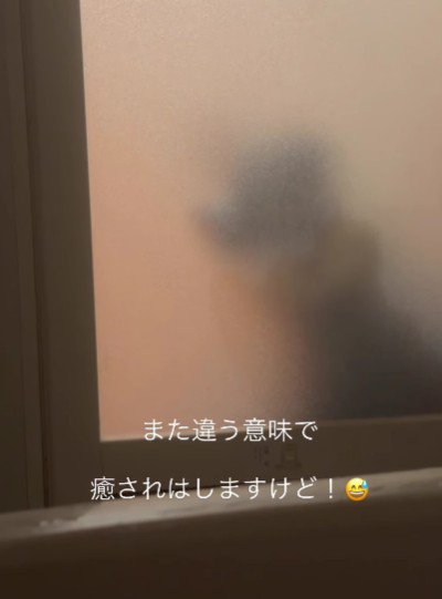 すうちゃんが待機中♪