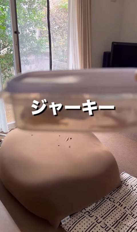 自家製ジャーキー