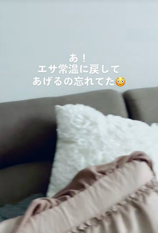 ご飯が遅れた時のむぎ君