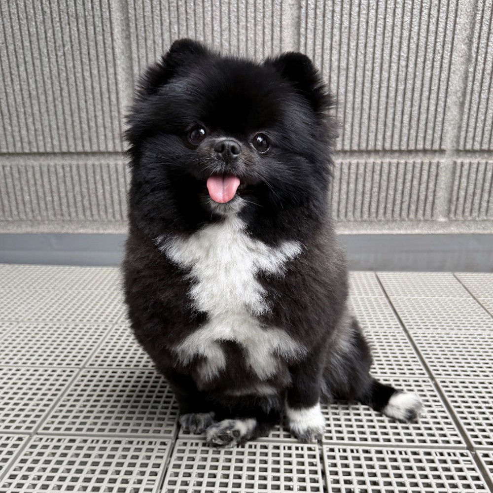 秘密