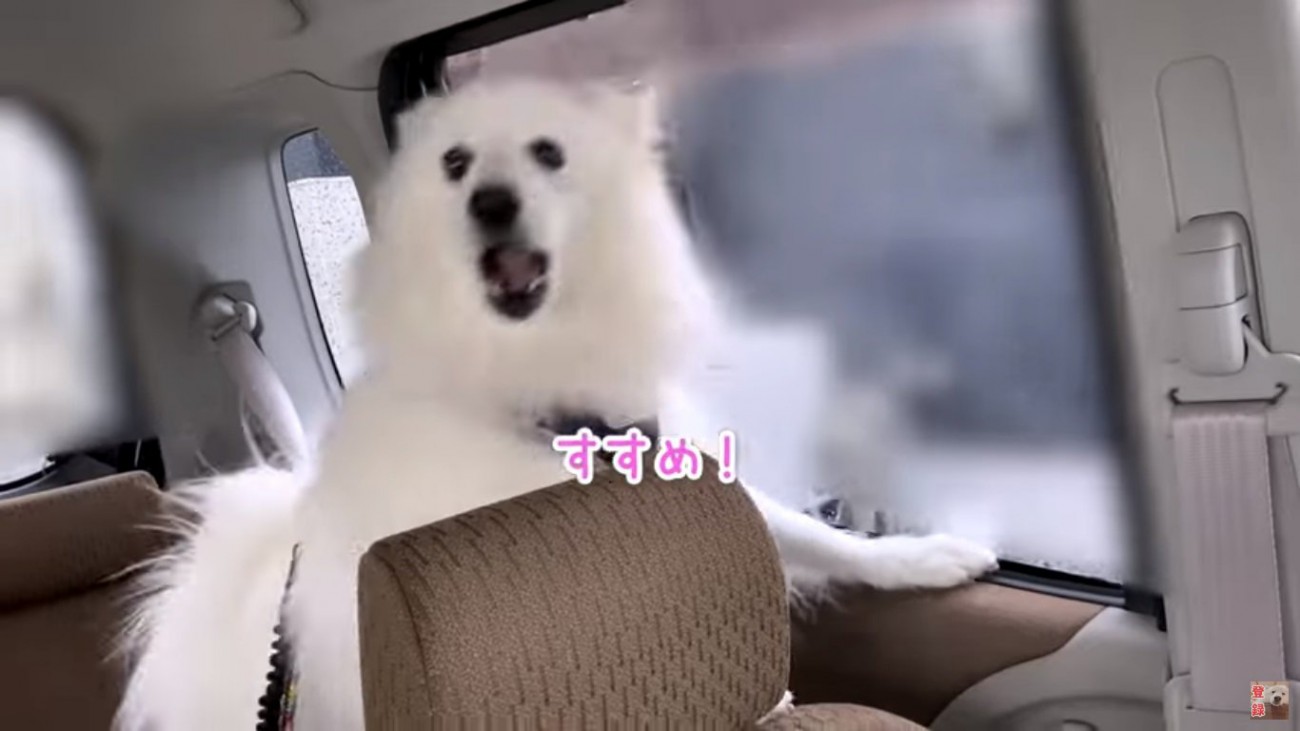 出発を催促するぽてちゃん