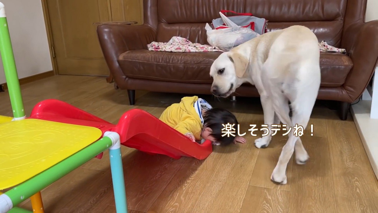サンちゃんも嬉しそう