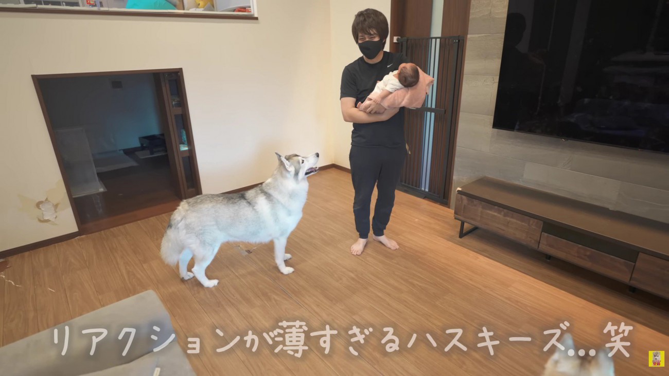 ネタバラシするも塩対応