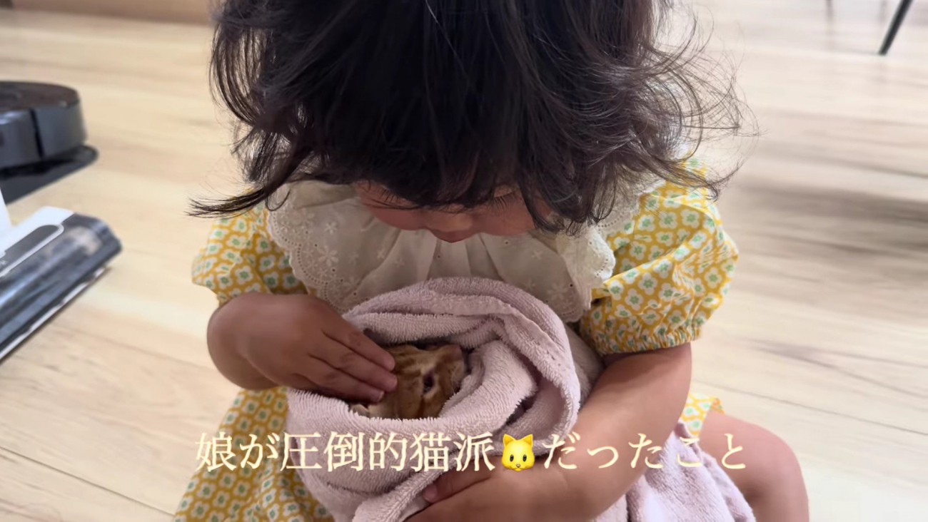 家族は子猫のことが大好きに