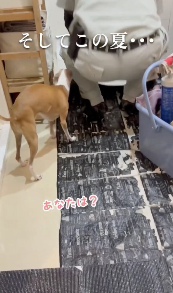 「あの時の…？」