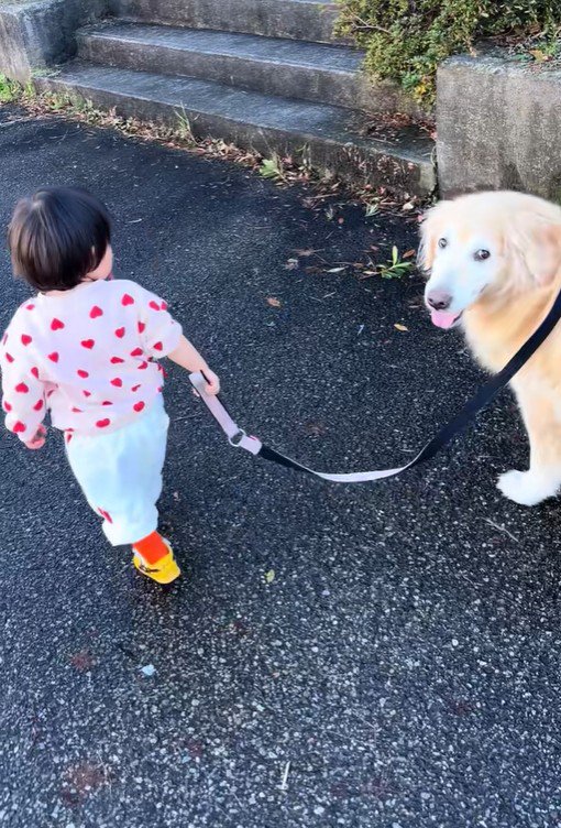 女の子とベルちゃんのお散歩4