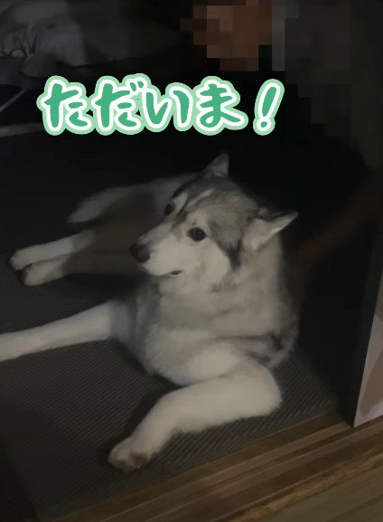 あまりにもそっけない