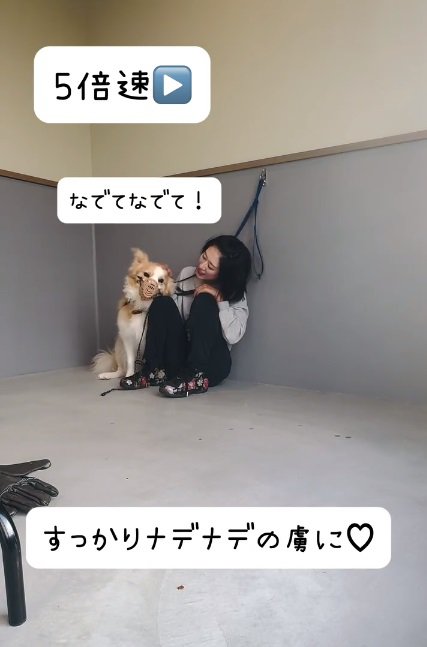 撫でてほしいそらくん