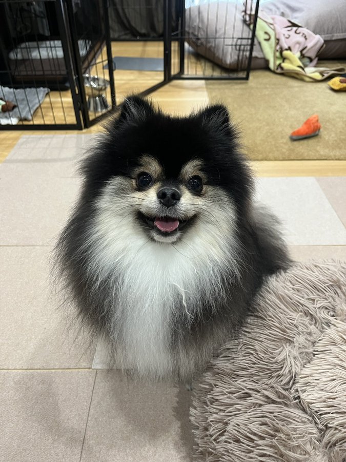 ニパッ