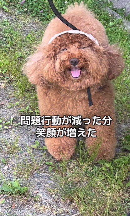 幸せが伝わる笑顔にホッコリ