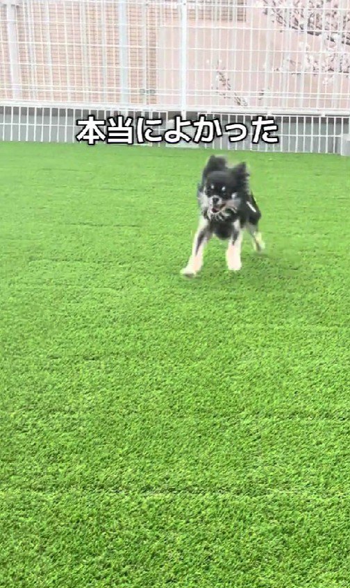 楽しそうな笑顔にホッコリ