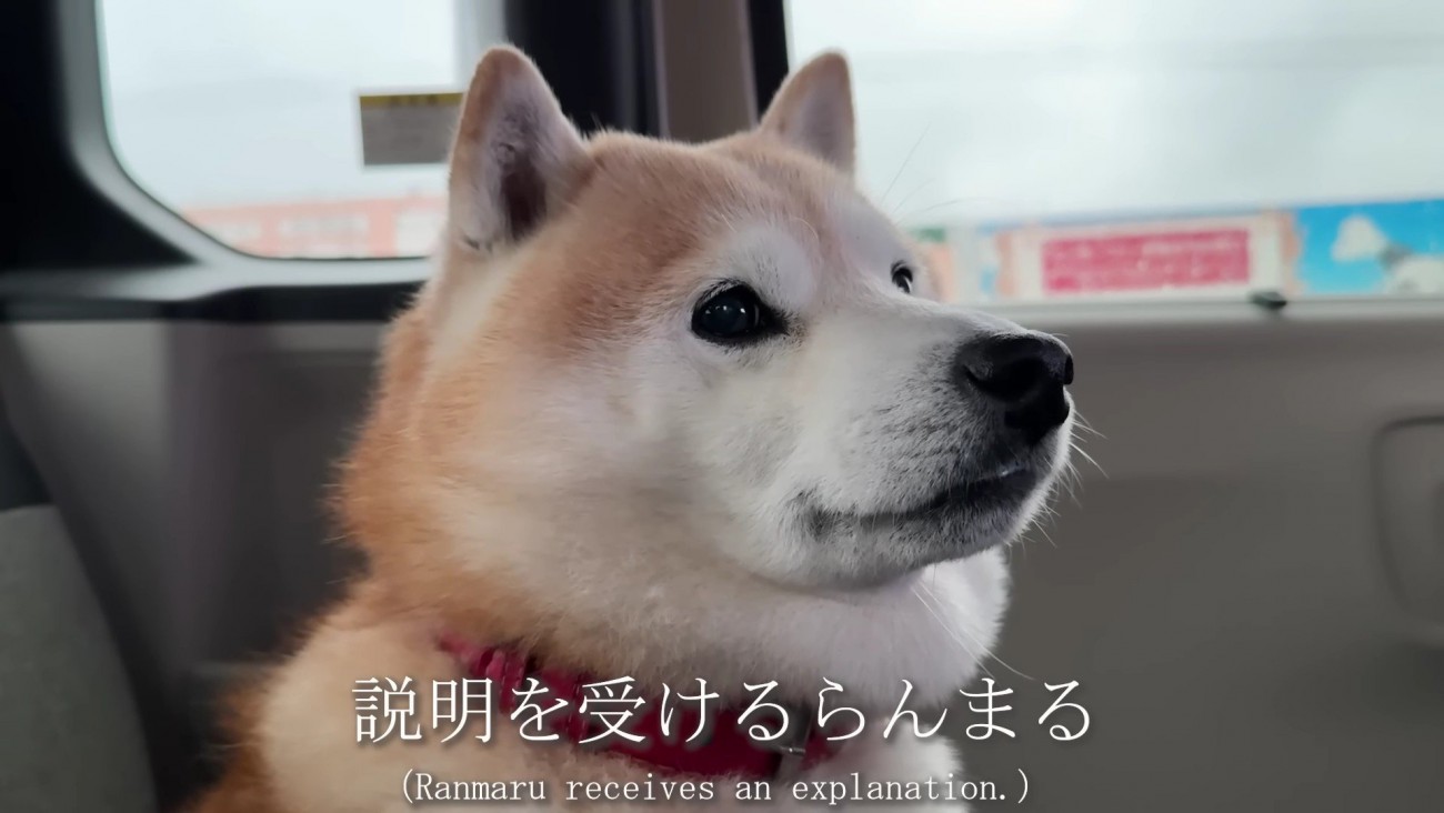 説明を受けるらんまるくん