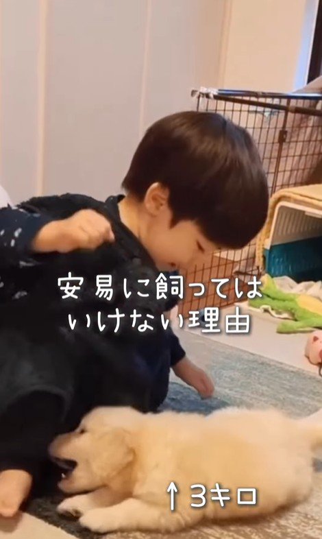 エルくんと男の子2