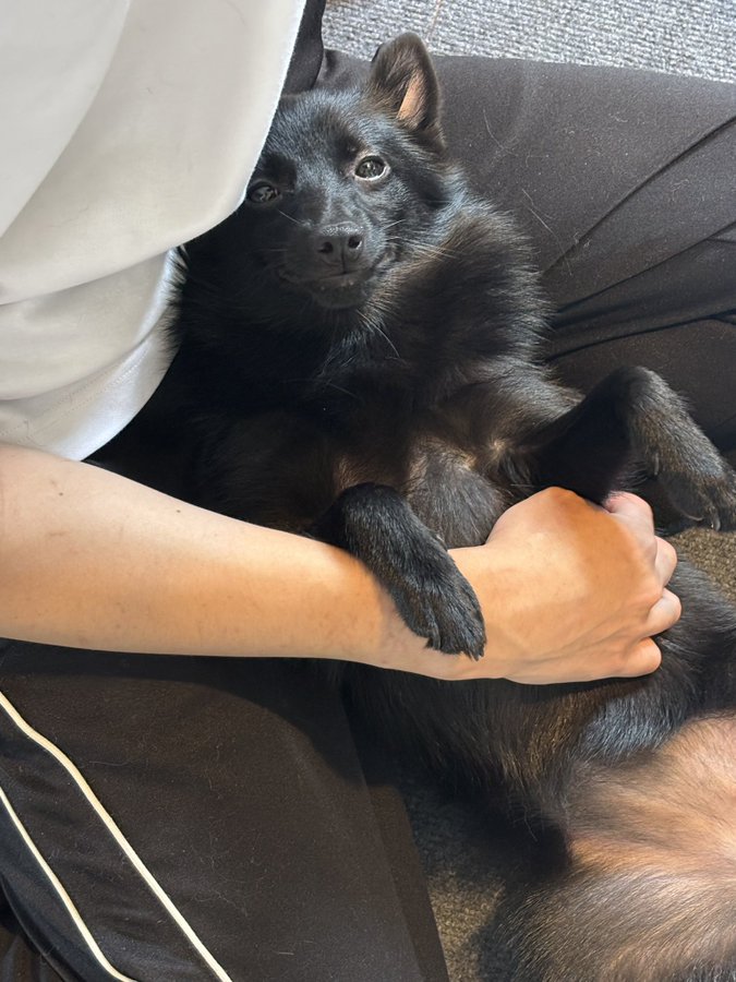 美しい