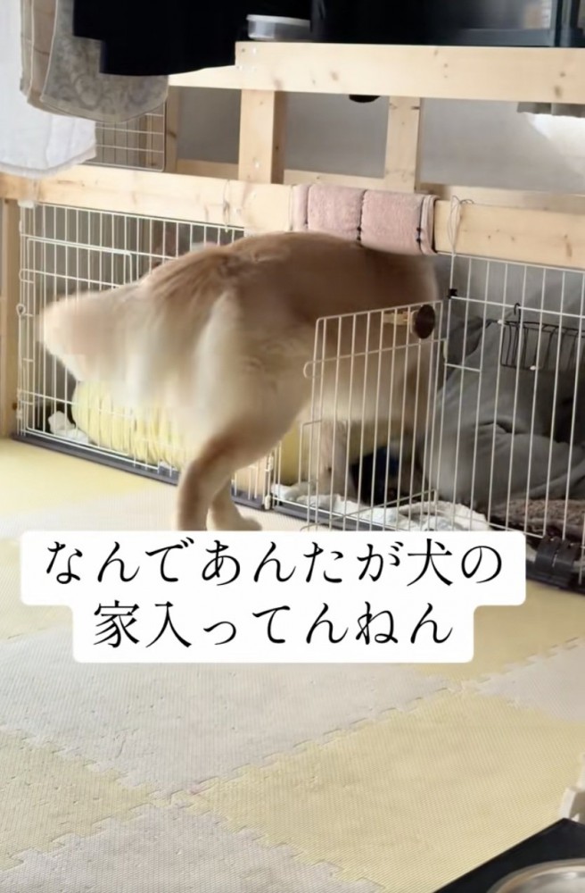 「入りますよ〜」