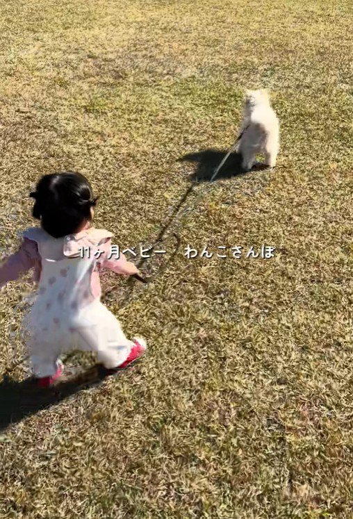 もち君と赤ちゃんのお散歩