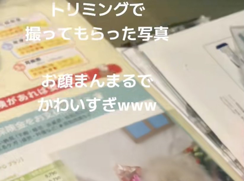 はたしてどんな写真なのでしょう？