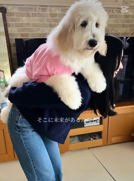 アグちゃんをお迎えするまで6