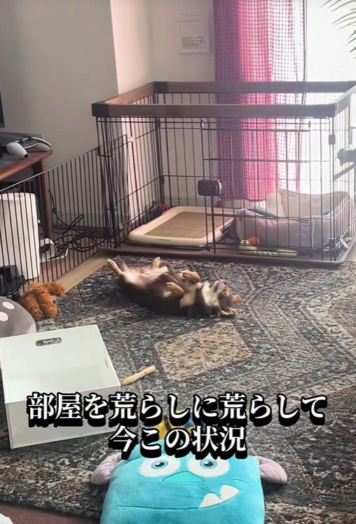 まさかの爆睡中！