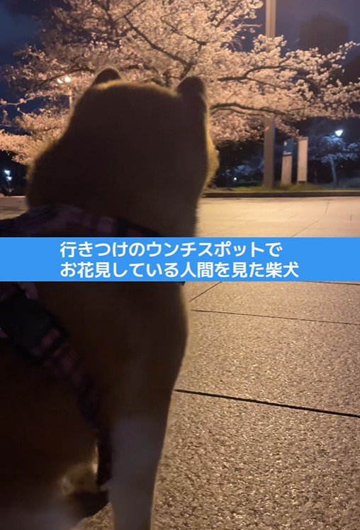 文句を言っています！