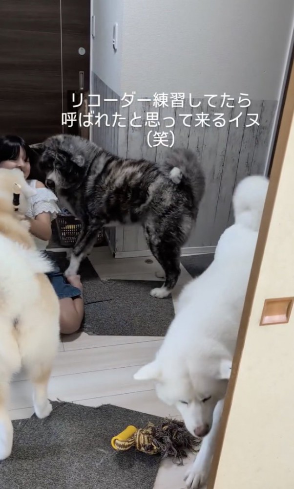 入れ替わり立ち替わり