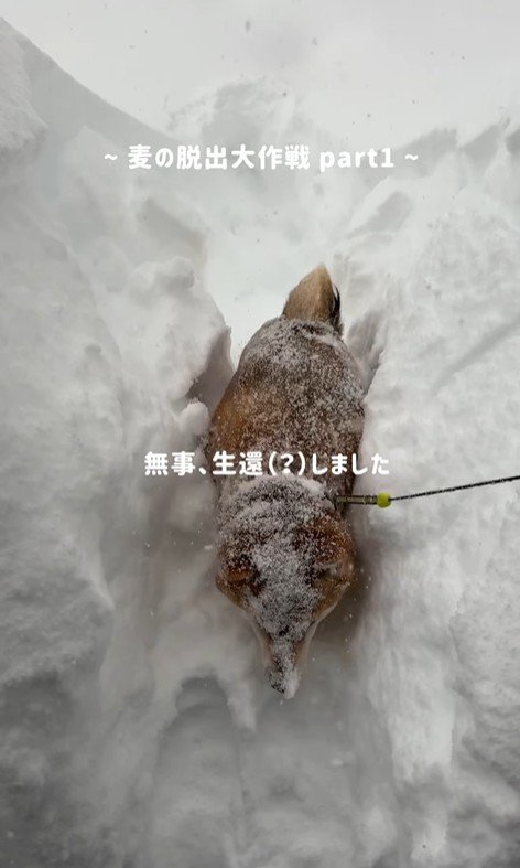 無事に生還しました♪