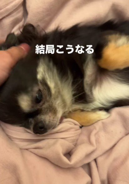 とっても可愛いお出迎えでした！