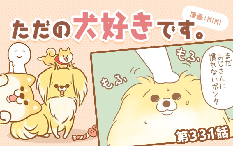 ただの犬好きです。【第331話】「帰省しました⑥」