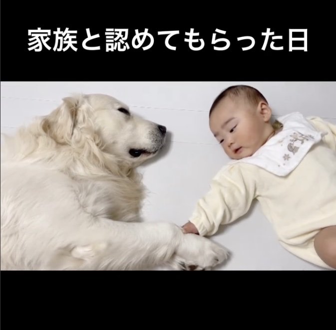 もっともっと仲良くなれるかな