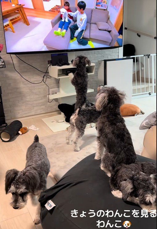 途中でいなくなる子も