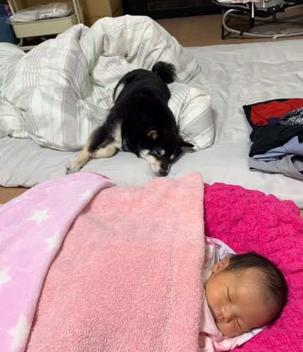 寝てしまうミヤビちゃん